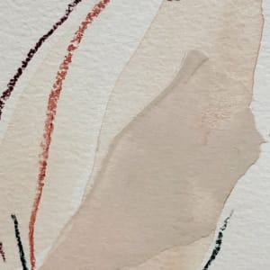 Rosalie Vol. 2 by Emily Anne Newman 