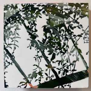 Kew IV (51°28'54"N 0°17'25"W) by Rebecca Tucker 