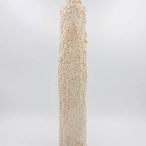 Tall Bottle - 79 by Chris Heck 