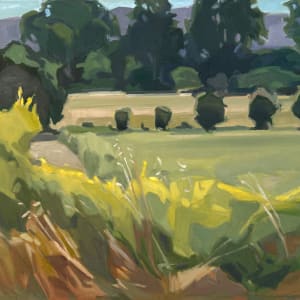 Ojai Summer by Anne Ward