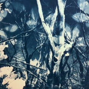 After the Fire by Marie Craig