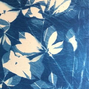 Buckeye by Marie Craig