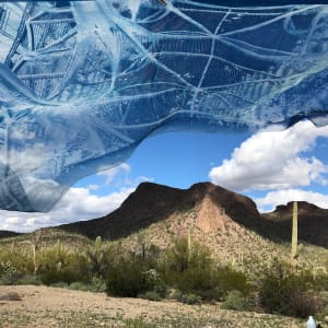 Encroaching 1 by Marie Craig