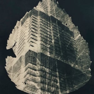 Forest for the Trees 1 by Marie Craig