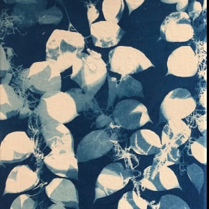 Knotweed by Marie Craig