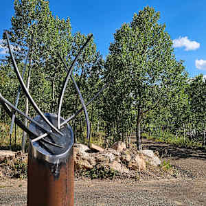 El Ciervo Macho by john henley