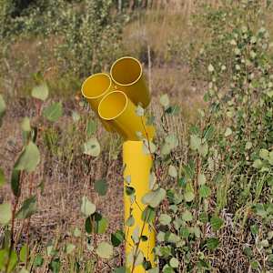 Sunflower by john henley  Image: Sunflower - A Garden Sculpture