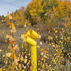 Sunflower by john henley  Image: Sunflower - A Garden Sculpture