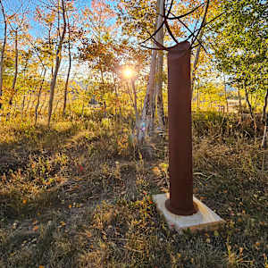 Tempest by john henley