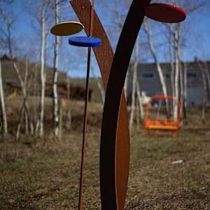 Lollipop Tree by john henley  Image: Lollipop Tree