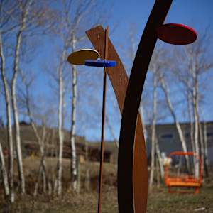 Lollipop Tree by john henley  Image: Lollipop Tree