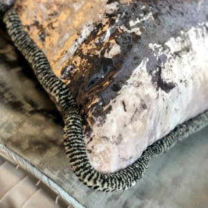 Slow Motion pillow by Sarah Fournie, Image 2.