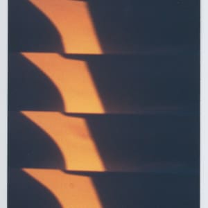 Untitled by The Katy Dove Estate