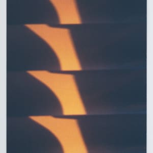 Untitled by The Katy Dove Estate