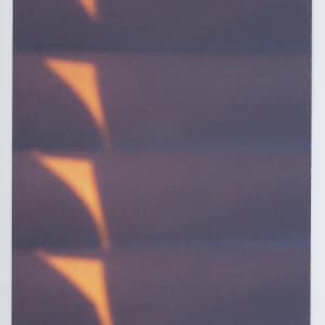 Untitled by The Katy Dove Estate