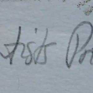 Unknown by Mary Vickers 