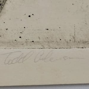 Woman by Todd Unknown 