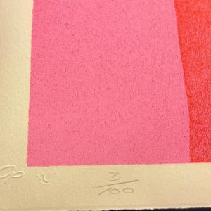 Fly Catcher by Mel Ramos 