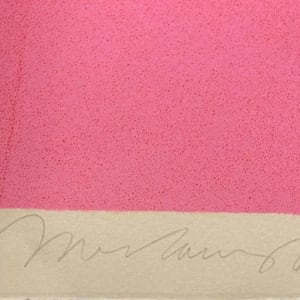 Fly Catcher by Mel Ramos 