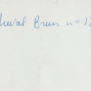 Cheval brun N°18 by Max Pappart 