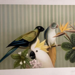 Les visiteurs by Arnaud D'Hauterives