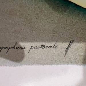 Symphonie Pastorale by Unknown 