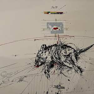 Experience on Rat # 20 by Vladimir Velickovic