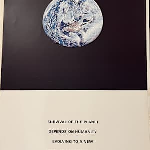 Survival of the planet by Alain Jacquet