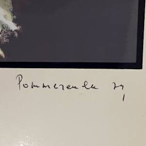 L'éclair by Daniel Pommereulle 