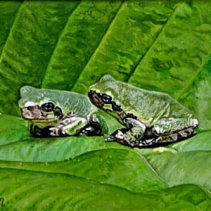 Frogs on Hosta by Leanne Marchand