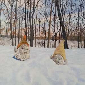 Gneglected Gnomes by Leanne Marchand