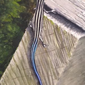 Porch Skink by Leanne Marchand