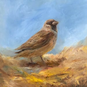 Sparrow BirdA01 by Tamas Erdodi