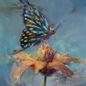 Butterfly by Tamas Erdodi