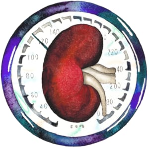 Blood Pressure  Water Pill, and series by alice brickner 