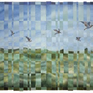 Gulls over Ocean I and II by alice brickner 
