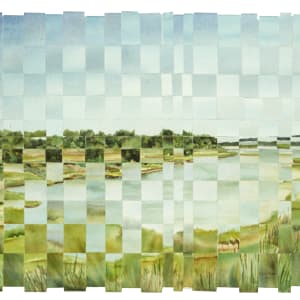 Wetlands Noyack I and II by alice brickner 