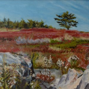 Appleton Ridge by Joan M.Losee