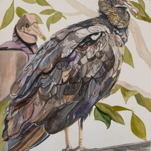 Black Vultures by Joan M.Losee