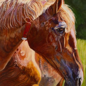 Draft Horse by Joan M.Losee