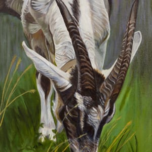 Goat Grazing by Joan M.Losee