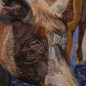 Portrait of a Sow by Joan M.Losee