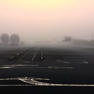 T Ā N E   I,  2023, Tāne Motumotu series by Dr  Rangihiroa Panoho  Image: St Lukes Carpark looking east'