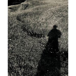 ĀTĀROA Media by Dr  Rangihiroa Panoho  Image: ĀTĀROA 'long shadow', Ruapekapeka