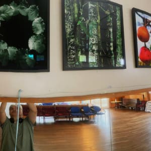 Ko ngā hua o te pūriri 'pūriri berries', Ruapekapeka, 15 March 2021 by Dr  Rangihiroa Panoho, Image 3.