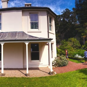 Ko te karawhiti ki te uru inanga a te wharenui o Kawana Hori Kerei, 'arboglyphs', bamboo grove, Grey's Mansion, Kawau Island , 5 February 2017 by Dr  Rangihiroa Panoho 
