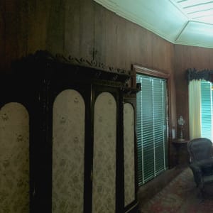 Ko te karawhiti ki te uru inanga a te wharenui o Kawana Hori Kerei, 'arboglyphs', bamboo grove, Grey's Mansion, Kawau Island , 5 February 2017 by Dr  Rangihiroa Panoho 