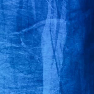 Nīkau no Rangitāhua by Dr  Rangihiroa Panoho 
