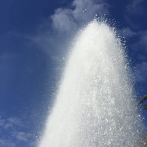 Ōwairaka by Dr  Rangihiroa Panoho  Image: Rangihīroa, Geyser, Ōwairaka, 2017