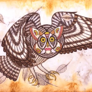 Moth faced Owl by Aimee Mattila